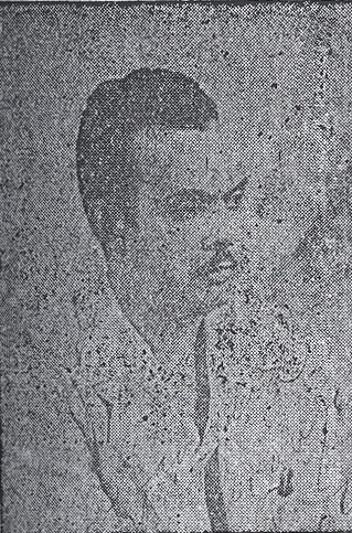 Dr Rafael Estévez Cabrera