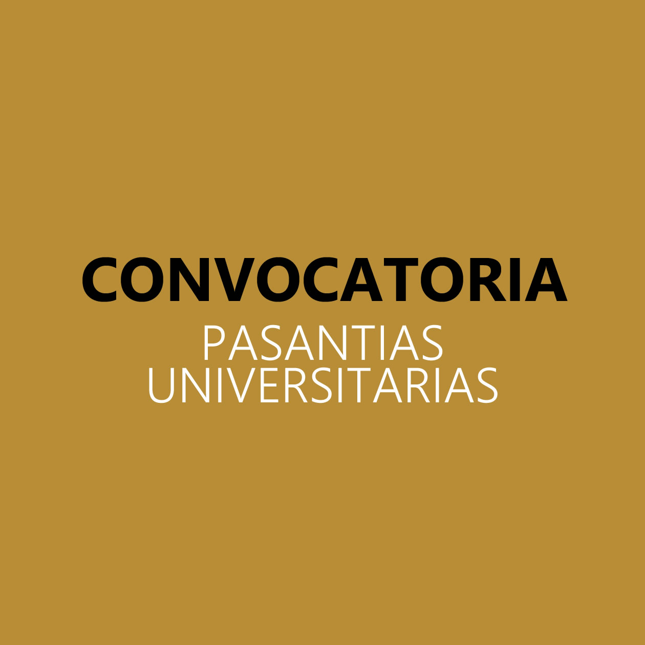 Pasantias_universitarias2018