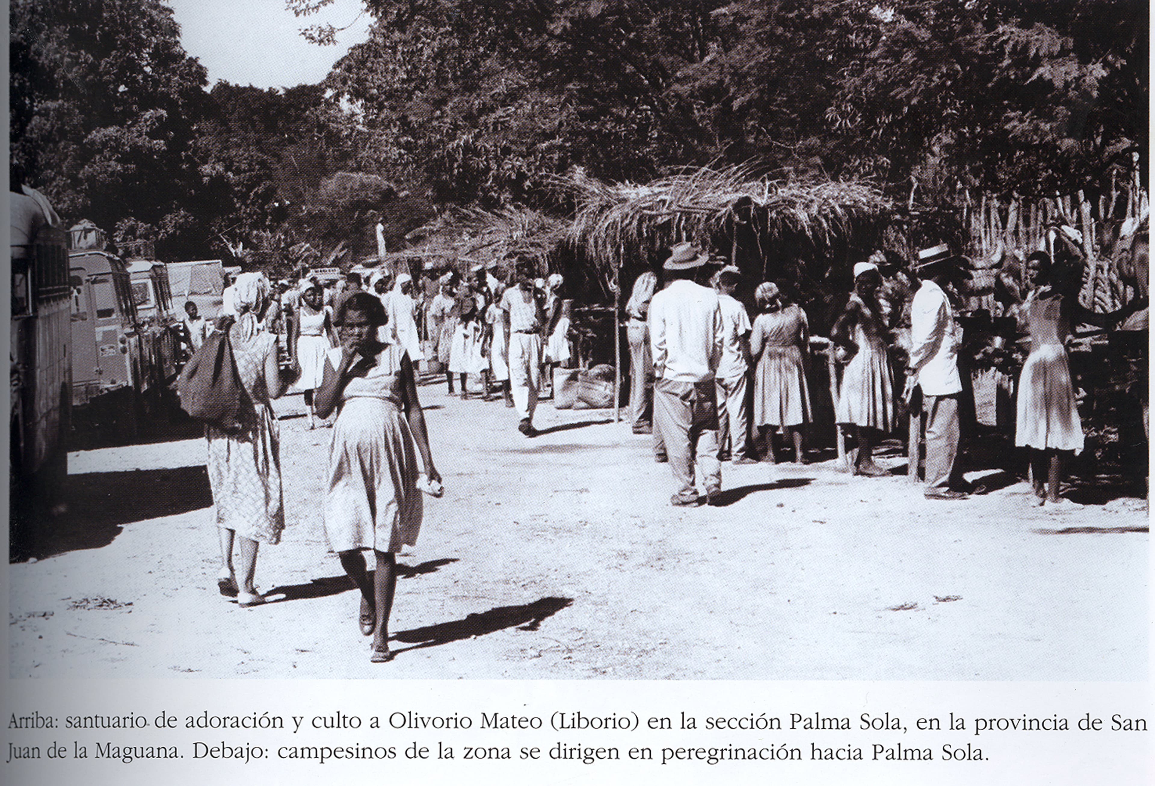 La rebelión y tragedia de Palma Sola