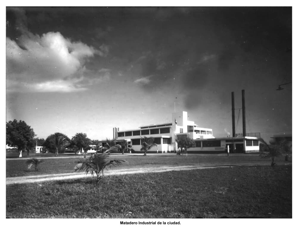 Matadero industrial